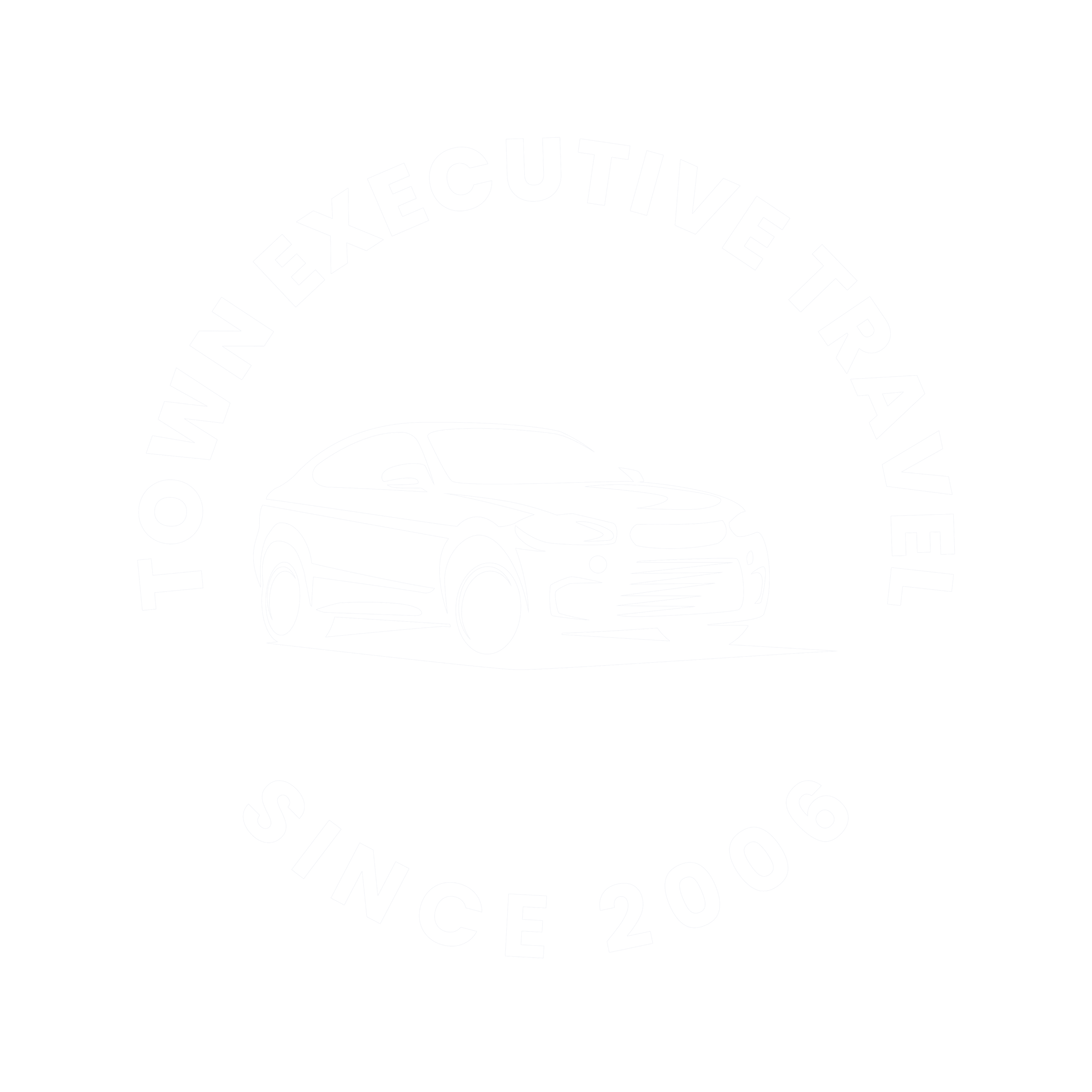 town executive logo