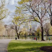 people walking on park during daytime